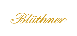 logo_blutner